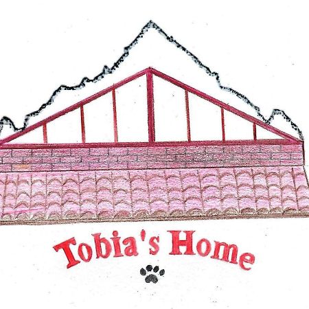 Tobia'S Home Roddino Dış mekan fotoğraf